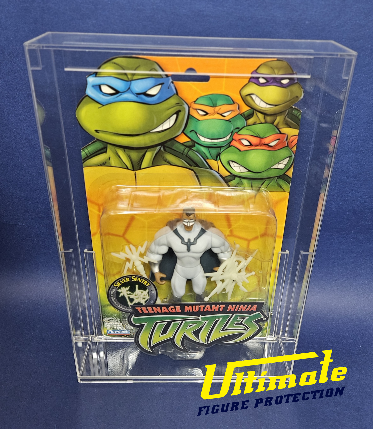 TMNT (2003)